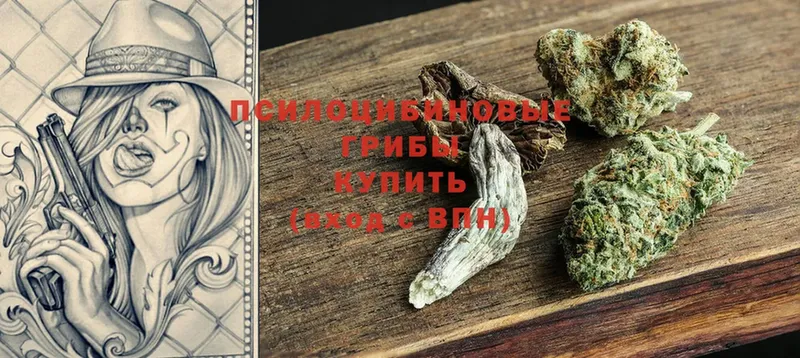 Галлюциногенные грибы мицелий  Каменногорск 